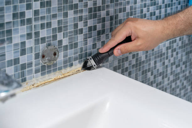 Best Mold Remediation  in Southgate, KY